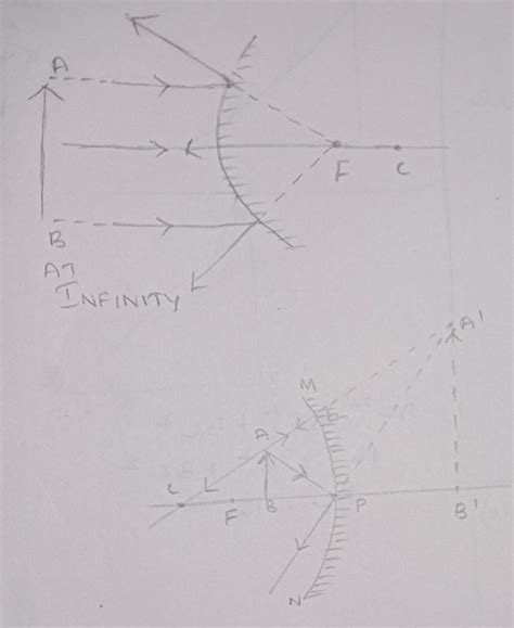 complete the diagram .... - Brainly.in