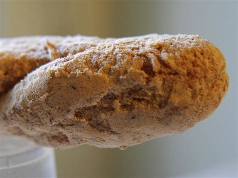 Speedy Donut - Norwalk, CT | Review & What to Eat