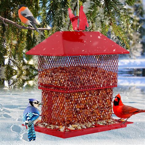 Bird Feeder for Outside Hanging Squirrel Proof Bird Feeders Metal Wild ...