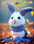 Image result for Good Morning Cute Bunny