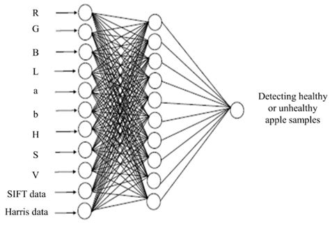 Feasibility of Using Computer Vision and Artificial Intelligence ...