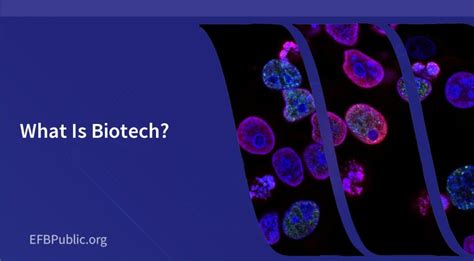 What Is Biotech 的图像结果