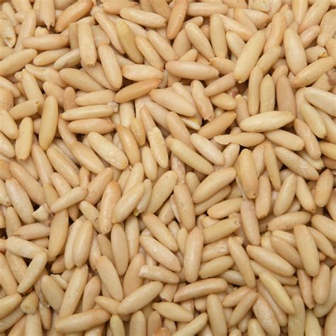chilgoza (250gm) – AL-ZAMEENDAR