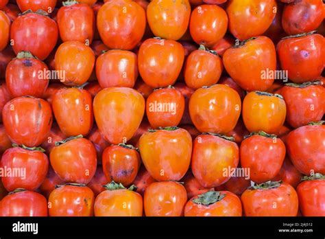 Fruit Market 的图像结果