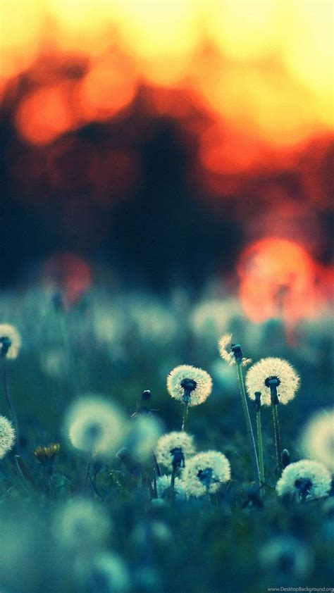 Android Home Screen Wallpaper 的图像结果