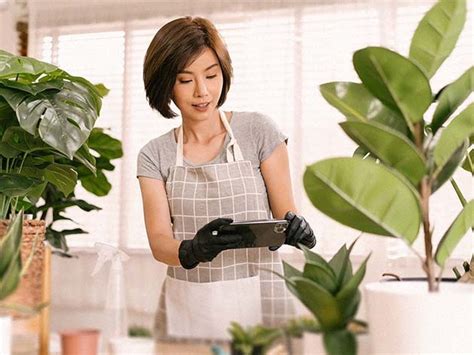 For the green thumb dads: An AI plant-identifying app he'll love for ...