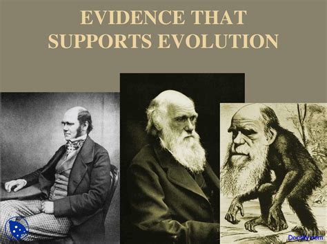 Image result for Evidence Against Evolution