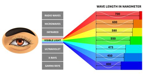 Light 的图像结果