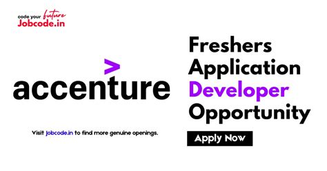 Rezultat imagine pentru Application Developer Position Description