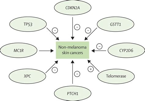 Non-melanoma skin cancer - The Lancet
