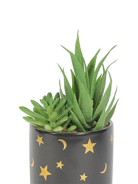 Market99 Fake Aloevera Planter Pot - Artificial Flower, Gift & Decor ...