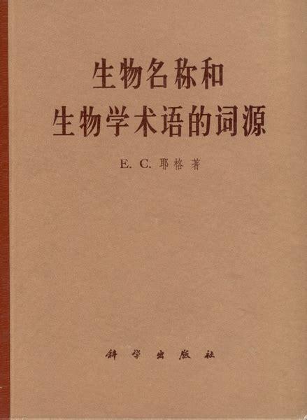 漢字ノート50字（10×5）B5｜無料ダウンロード＆印刷 | 無料プリント教材｜おうち学習キッズ