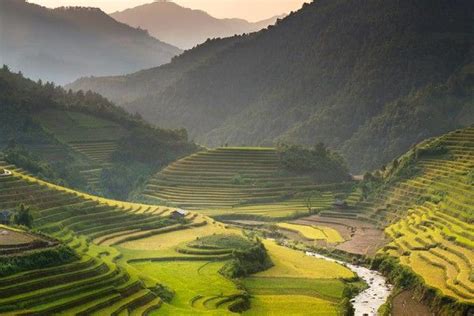 Image result for Vietnam Shell Exploding