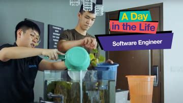Image result for Software Engineer Computer Set