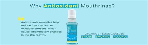 Buy Purexa Antioxidant Mouthwash 150ml (Pack of 1) | Alcohol-Free ...