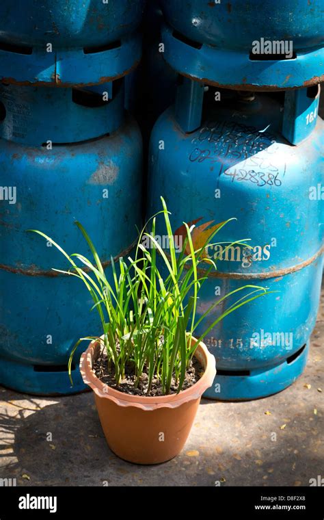 Image result for Cheap Gas Containers