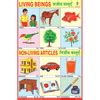 LIVING & NON LIVING ARTICLES CHART SIZE 12X18 (INCHS) 300GSM ARTCARD