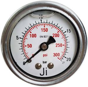 Japsin instrumentation Pressure Gauge, 2" Dial, 0-21 Bar, Back Entry, 1 ...