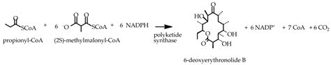 The Biochemistry of Artificial CO2-Fixation Pathways: The Exploitation ...