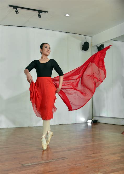 Image result for Ballet Dancer Practice