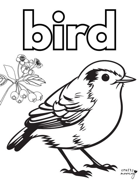 Free Coloring Pages Of Bird