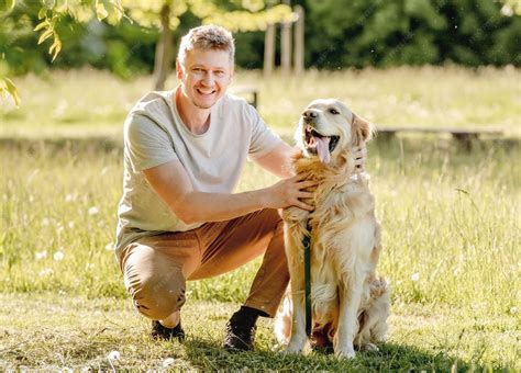 Premium Photo | Man walking golden retriever