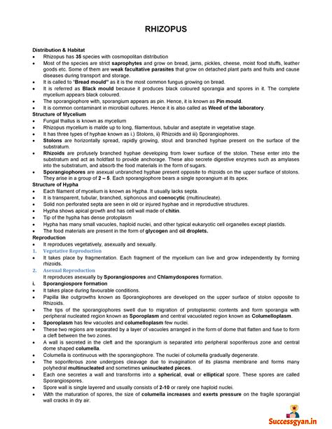 Rhizopus - RHIZOPUS Distribution & Habitat Rhizopus has 35 species with ...