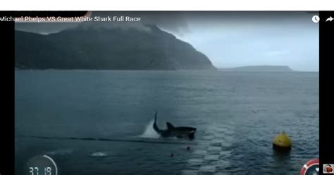 Watch Video: How did the race between Michael Phelps and shark go ...