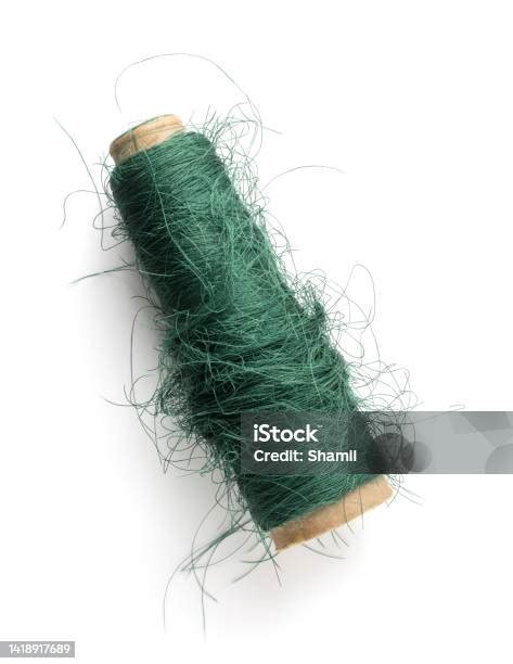 Image result for Tangled Thread Sewing Machine