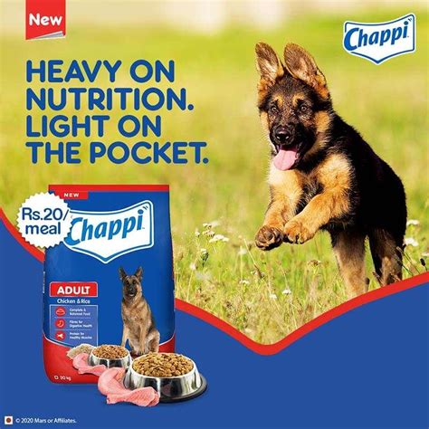 Chappi Adult Chicken & Rice Dog Dry Food – Cadotails