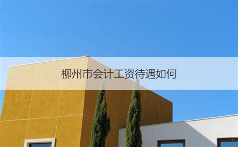 柳州会计师事务所排行榜【桂聘】