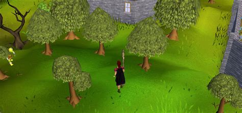 What Are The Best Teak Tree Spots in OSRS? – FandomSpot