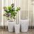 Buy Planters Pot Online in India | Dekor Company