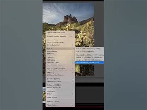 Image result for Lens Stack