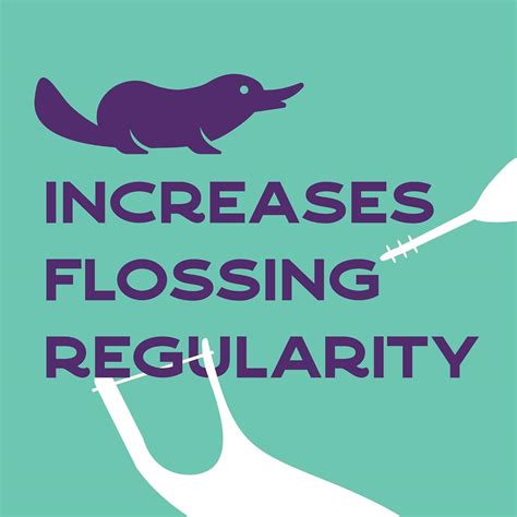 Platypus Orthodontic Flossers for Braces, 40 Count India | Ubuy