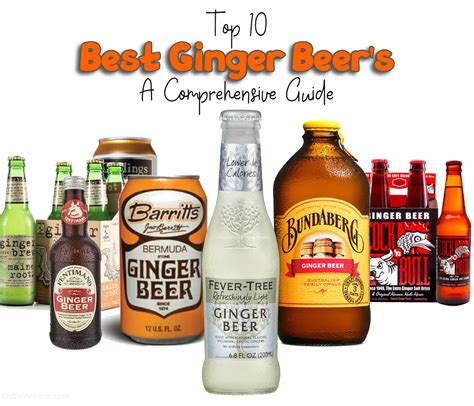 Top 10 Best Ginger Beers of 2023: A Comprehensive Guide