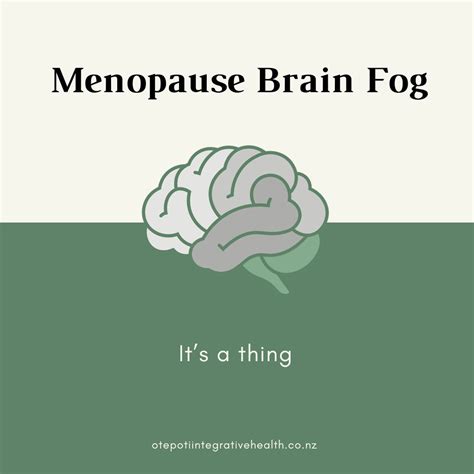 Navigating the Fog: Treating Menopause Brain Fog | Rebelle Health