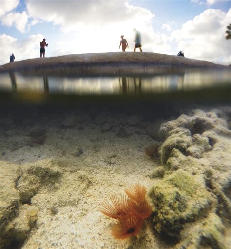 Fotos gratis : naturaleza, arena, Oceano, gente, viajar, tropical ...