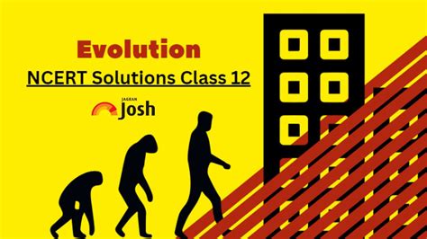 Image result for Class 12 Chapter 6 Evolution