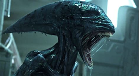 Image result for Alien vs Predator Anime