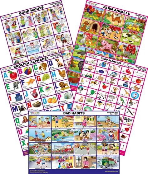 Buy Spectrum Mirror Coat Educational Charts (Set of 5) : Set 12 ...