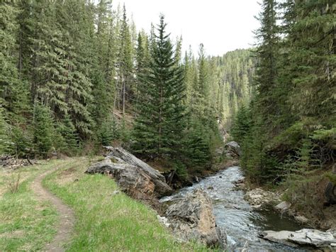 Image result for Light Code Themes