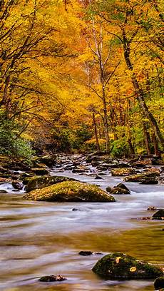 Nature Wallpaper Free For Mobile by Beautiful Nature Wallpaper For Mobile Nature Picture Of Nature Wallpaper Free For Mobile