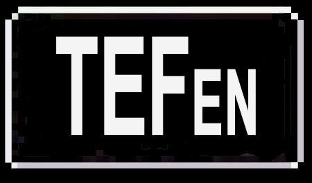 Image result for Temporal Forces Explained