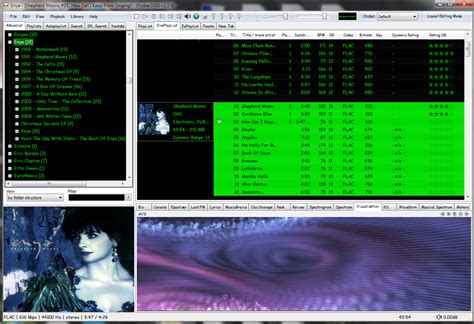 Image result for Foobar How to Setup Display Panel