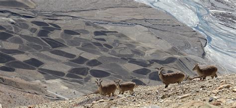A Portal For Nature Travel/ Tourism, Photography, Wildlife ...