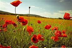 Ukraine Desktop Wallpapers by Overview 183 Ukraine Travel Ukraine Desktop Wallpapers
