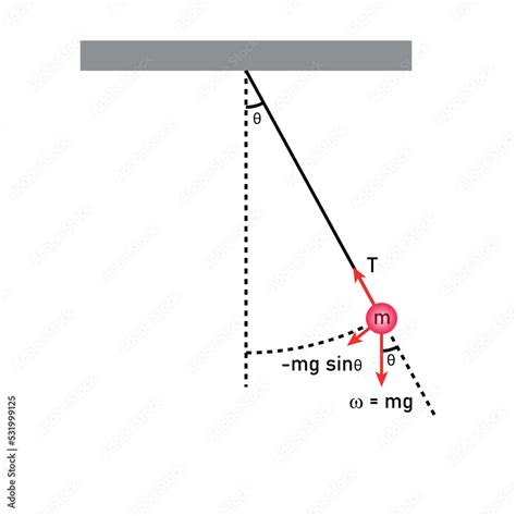 Diagram of simple pendulum harmonic motion. Stock Vector | Adobe Stock