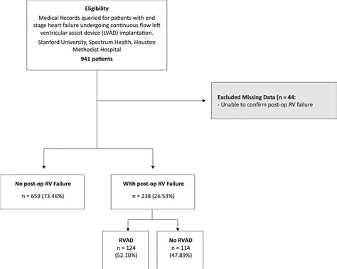 Long-term survival in patients with post-LVAD right ventricular failure ...
