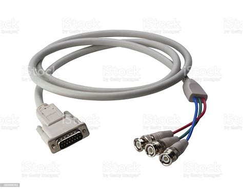 Cord Computer Simulation 的图像结果